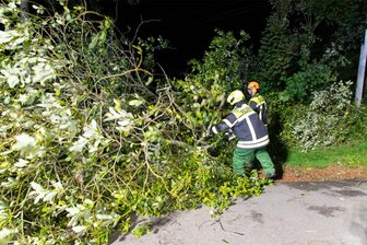 Sturmböen im Erzgebirge: Bäume fallen auf Bundesstraße - Nächtlicher Feuerwehreinsatz bei Thalheim. Infolge des Sturms waren Bäume an der B 180 entwurzelt worden.