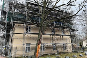 Sturmopfer: Gemeinde Bösenbrunn lässt Bäume fällen - Die Robinie am Rittergut Bösenbrunn wurde 2023 bei einem Sturm schwer beschädigt. Sie soll gefällt werden.