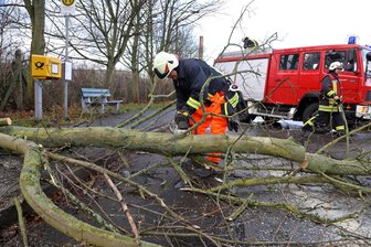 Sturmschaden: Baum blockiert Straße in Wüstenbrand - Die Feuerwehr war am Sonntagvormittag in Wüstenbrand im Einsatz, um eine umgestürzte Linde abzutransportieren.