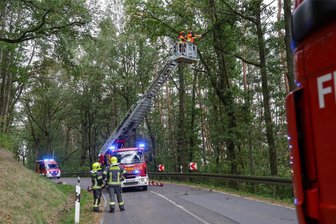 Sturmschäden: Abgestorbener Baum droht in St. Egidien auf die Straße zu stürzen - Die Feuerwehr hat einen Baum in St. Egidien mit Hilfe der Drehleiter abgetragen.