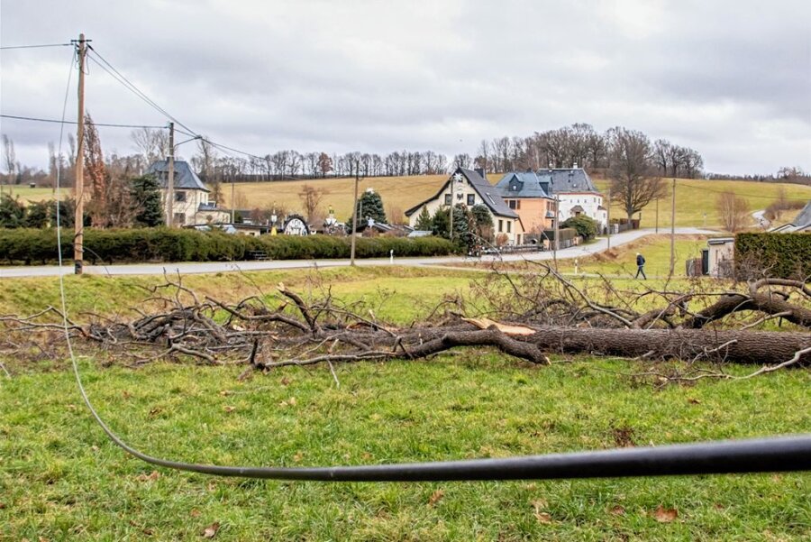 Sturmtief Axel: In Niederwürschnitz fällt Baum auf eine Stromleitung - In Niederwürschnitz sorgte Sturmtief Axel dafür, dass ein Baum auf eine Wiese stürzte und dabei eine Telefonleitung beschädigte. 