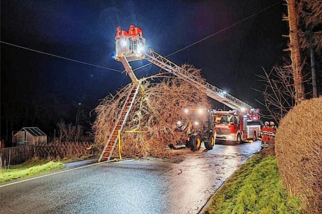 Sturmtief: Feuerwehr Großschirma räumt Baum von Straße - Feuerwehrleute räumen nahe Großschirma einen Baum von der Straße. 