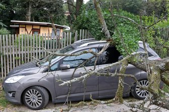 Sturmtief "Kirsten": Baum fällt auf Auto -