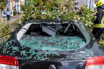In Rochlitz ist ein großer Ast auf ein Auto gefallen.