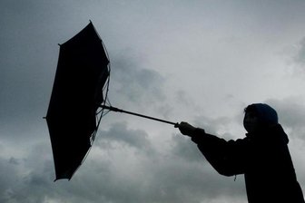 Sturmtief: Märkte in Chemnitz nur bis Mittag offen - Wildgatter geschlossen - Der DWD warnt für Donnerstag vor Winden mit Orkanstärke.