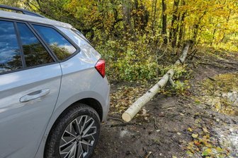 Sturmtief über dem Erzgebirge: Mann von umstürzendem Baum getroffen - Beim Einsteigen in einen Skoda wurde ein Mann in Bad Schlema von einem Baum getroffen.