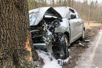 Suzuki kollidiert mit Baum -