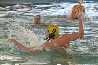 SV Zwickau 04: Warum die Wasserballer gegen Erfurt doppelt motiviert sind - Akos Karacs und die Wasserballer des SV Zwickau 04 wollen am Samstag den dritten Saisonsieg im dritten Spiel herauswerfen.
