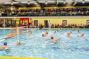 SVV Plauen begeistert seine Fans - Die Zuschauertribüne im Plauener Stadtbad war voll – und die Punkte aus dem Spitzenspiel blieben im Vogtland.