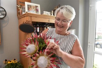 Sylvia Loske und ihr „Stil Bruch“: Diese Blumen mögen die Flöhaer am liebsten - Sylvia Loske bindet in ihrem Geschäft in Flöha einen Strauß des Silberbaumgewächses Protea.