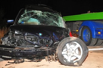 Tödliche Begegnung mit Tieren: Amt errichtet vermehrt Schutzzäune - Fünf Autos kollidierten am späten Donnerstag auf der A 14 mit zwei Kühen. Ein Fahrer starb, fünf Personen wurden leicht verletzt.