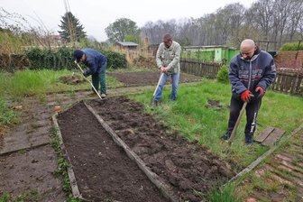 Tafelgärten: Helfer-Trio legt im "Waldfrieden" in Meerane los - Die Ein-Euro-Jobber sind seit Mitte April in der Kleingartenanlage zwischen Robert-Baum-Straße und Annapark in Meerane im Einsatz.