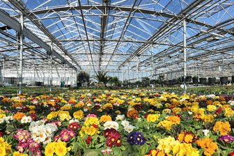 Tag der offenen Gärtnerei: Hier gibt‘s Tipps und Trends für Gartenfreunde in Westsachsen - Das Gartencenter Heuschkel in Werdau beteiligt sich am Aktionstag.