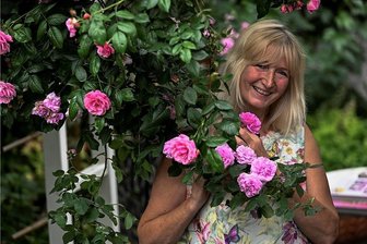 Tag des offenen Gartens: Hereinspaziert in Sachsens schönste Gärten - Sigrun Jeck liebt alle ihre Rosen, aber Kletterrose Camelot, die ihre langen Ranken über eine Pergola fallen lässt, mag sie besonders. Mit üppiger Blütenpracht wertet sie den ehemaligen Mistplatz des Bauernhäuschens auf. 