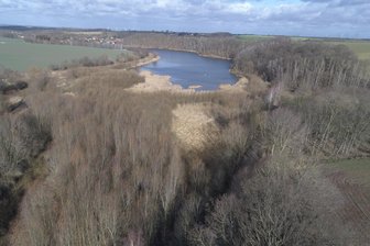 Talsperre Baderitz nahe Döbeln wird von Sedimenten befreit - Die Talsperre Baderitz nahe Döbeln ist mit Schilf bewachsen. Um den Stauraum wieder herzustellen, wird sie beräumt.