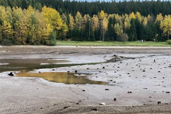 Talsperre Falkenstein liegt fast trocken: Was für Spaziergänger jetzt lebensgefährlich sein kann - Die Badestelle für Kinder und Nichtschwimmer im hinteren Teil der Talsperre ist fast ohne Wasser. Sie verleitet zu Spaziergängen über den Talsperrengrund - wovor gewarnt wird. Leicht könnte man im Schlick versinken.
