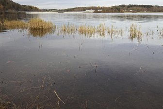 Talsperre Pöhl dank Regen wieder gut gefüllt - Der Wasserstand der Talsperre ist derzeit auf normalen Niveau, vergleichbar mit der Wasserhöhe auf diesem Archivfoto.