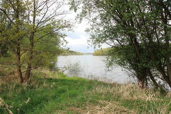 Talsperre Pöhl randvoll: Was das fürs Triebtal und die Weiße Elster bedeutet - An der Talsperre Pöhl stehen einige Uferbäume und Sträucher, wie hier in Altensalz, bereits im Wasser.