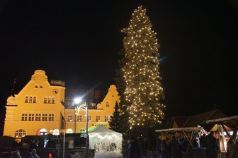 Tannenbaum-Streit im Vogtland entbrannt: Wer hat den größten? Wie Rebesgrün sich jetzt mit Schöneck misst - Der Weihnachtsbaum vor dem Rathaus Schöneck ist eine 101 Jahre alte Fichte.