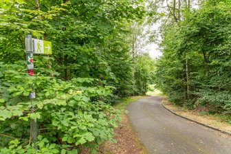 Tatort Deutschlandschachthalde: Erzgebirgerin am späten Abend offenbar vergewaltigt – Kripo ermittelt - Einer der Waldwege auf der Deutschlandschachthalde. Jetzt sucht die Kripo dringend Zeugen wegen einer möglichen Vergewaltigung.