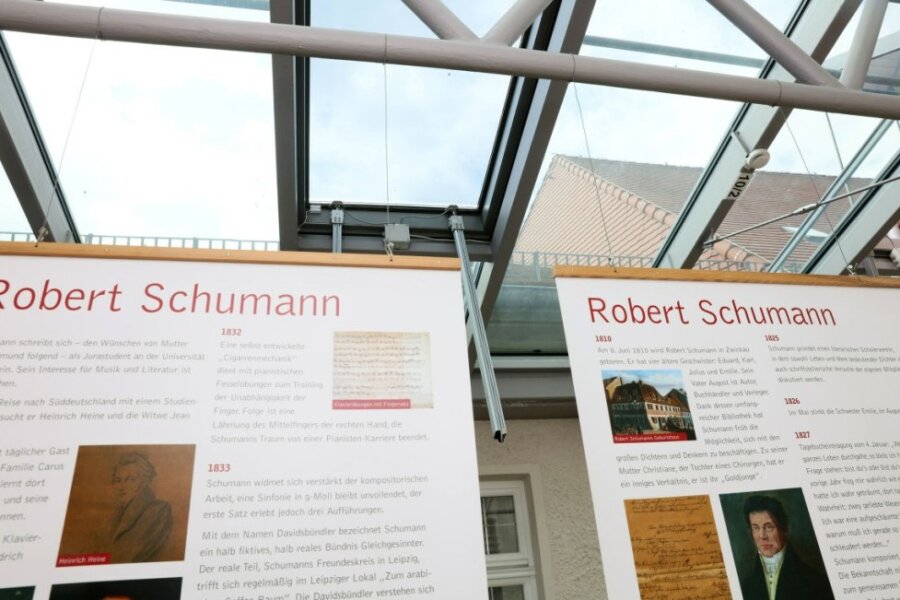 Taubennest verursacht Wassereinbruch im Zwickauer Robert-Schumann-Haus - 