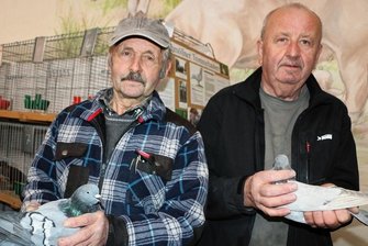 Taubenzüchter präsentieren in Pausa ihre perläugigen Schönheiten - Reiner Seidel (rechts) zeigt seine Altenburger, Manfred Pause seine Schmöllner Trommeltaube. 