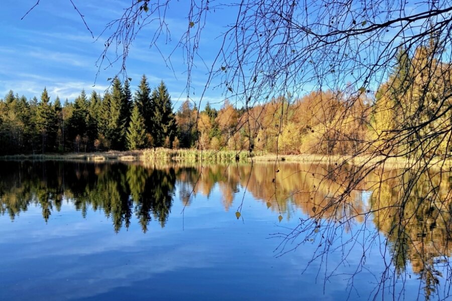 Teich bei Rübenau zeigt sich spiegelglatt - 