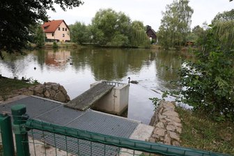 Teich im Tiergehege an der Waldstraße in Zwickau soll umgestaltet werden - An den Teichen im Tiergehege Waldstraße in Zwickau sind umfangreiche Arbeiten geplant.