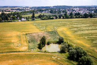 Teich in Burgstädt geplündert: Die Jagd nach den Karpfendieben geht weiter - Aus diesem Teich an der Gückelsbergstraße in Burgstädt haben Unbekannte Karpfen gestohlen.