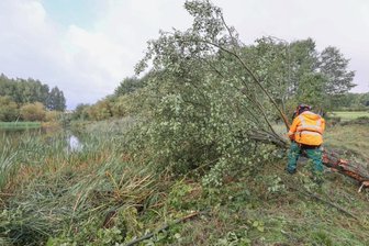 Teich in Grüna wird saniert - 