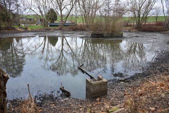 Teich in Wittgensdorf soll verschönert werden - Bislang kein schöner Anblick: Der Bräuteteich in Wittgensdorf.