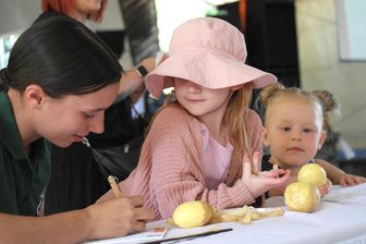 Teichfest Geringswalde: Klein schlägt Groß zur Kartoffeldisco - Olivia Böhme (l.) notiert die Länge der Kartoffelschalen von Ella und Lea.