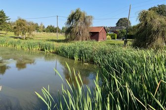 Teichsanierung in Oberwürschnitz viel teurer als geplant - Der Dorfteich in Oberwürschnitz.