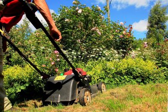 Teilnehmer gesucht: Vogtländische Hobbygärten öffnen ihre Türen - 