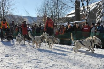 Schönecker Schlittenhunderennen 2011