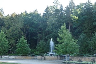 Termin verstrichen: Was wird aus Kur- und Heilwald in Bad Elster? - Blick in Richtung Brunnenberg in Bad Elster. Hier soll es Sachsens ersten Kur- und Heilwald geben.