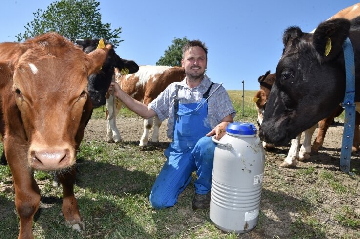 Teuerstes Rindfleisch wird im Vogtland gezüchtet - Enrico Kürschner auf einer seiner Weideflächen mit seinen Wagyu-Rindern. 
