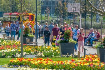 Teurer als geplant: Frankenberg muss für Landesgartenschau nachschießen -