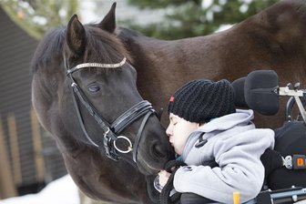 Therapie mit einer tierischen Freundin - 
