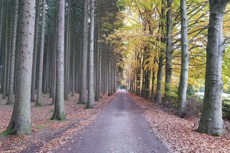 Theuma: Forstvertrag besteht weiter - Theuma verfügt als Kommune lediglich über knapp fünf Hektar Waldfläche.