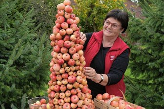 Thierfelder Gartendeko haben Vögel zum Fressen gern - Gudrun Franke hat einen besonderen Apfelbaum kreiert, der Deko und gleichzeitig Vogelfutter ist. 