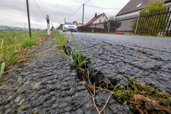 Thomas-Müntzer-Siedlung in Waldenburg: Zwischen dem Asphalt wuchert bereits das Unkraut - Blick auf die Straße in der Thomas-Müntzer-Siedlung in Waldenburg. Im Asphalt gibt es tiefe Risse.