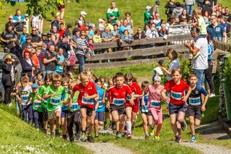 Thumer Pfingstlauf vor 38. Ausgabe - Auf schönes Wetter wie 2023 hoffen die Organisatoren des Thumer Pfingstlaufs auch für dieses Jahr.