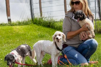 Tier-Drama: 22 Hunde aus Haus geborgen - sieben davon tot - Insgesamt 15 Tiere wurden vorigen Freitag ins Tierheim Kandelhof gebracht. Sieben Hunde konnten nur noch tot aus der Wohnung im oberen Vogtland geborgen werden. Im Foto: Tierheim-Ehrenamtlerin Kerstin Gotte.