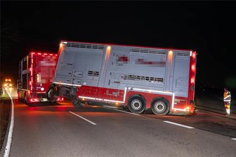 Tier-Transport in Leisnig verunglückt - Am Abzweig Beiersdorf ist am Dienstagnachmittag ein Tiertransporter in den Graben gerutscht.