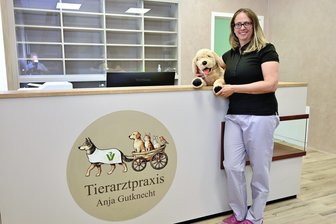 Tierärztin eröffnet Praxis in Wilkau-Haßlau: „Davon habe ich schon als Kind geträumt“ - Tierärztin Anja Gutknecht am Empfang ihrer neuen Praxis in Silberstraße. Noch muss vieles ein- und umgeräumt werden. Am 1. Juli kommen die ersten tierischen Patienten.