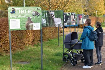 Tierfotos und Schwarz-Weiß-Bilder mit Tiefgang: Das bietet die „Perspektiva“ in Oederan im Herbst - Die teils ungewöhnlichen Tierfotos aus dem Schülerprojekt sind ein Blickfang.