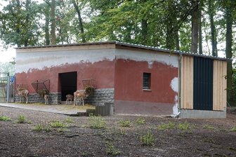 Tiergehege in Crimmitschau: Stadt lässt Damwildhaus sanieren - Das Damwildhaus im Tiergehege im Sahnpark musste saniert werden. Zuvor drohte der Heuschober einzustürzen.