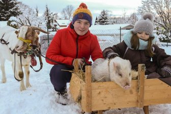 Tiergeschichten des Jahres 2017: Schöne Ziege mag Schnitzel - Schöne Ziege: Bock Moritz ist schon zum zweiten Mal zur schönsten Ziege des Erzgebirges gekürt worden. Mit Minischwein Schnitzel hat er sich auf Anhieb gut verstanden. Jonas Gruchow und seine Cousine Sina Hinkel freuen sich schon auf die winterlichen Schlittenfahrten mit ihren beiden Lieblingen.