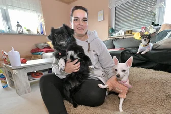 Tierhebamme aus Zwickau ist Tag und Nacht im Einsatz: „Die schönen Erlebnisse kann einem niemand nehmen“ - Marie Buch mit drei von fünf Hunden: Peppels auf dem Arm, Hildegard neben ihr und Dyson auf dem Sofa.